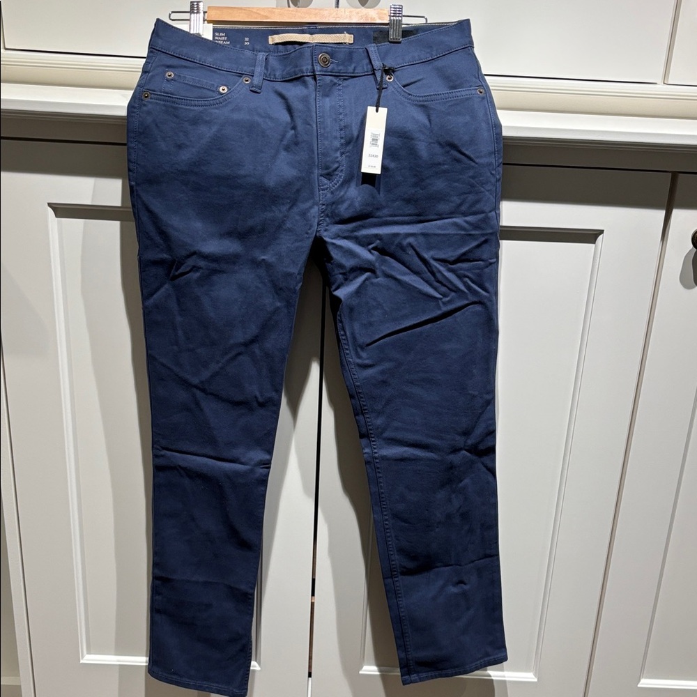 Banana Republic Stylish Blue Pants in 32x30